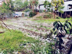 Storm Fury Batters Several Areas, Chief Minister Promises Assistance