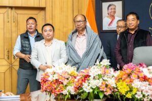 Peace Only Sustainable Answer to Challenges: Manipur CM